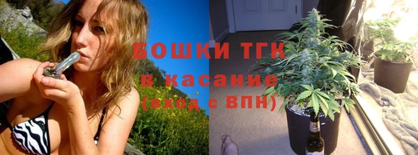 гидра Киренск