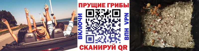 Галлюциногенные грибы мухоморы Белореченск